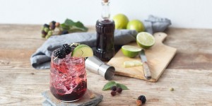 Beitragsbild des Blogbeitrags Gin Blackberry 