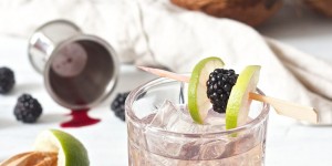 Beitragsbild des Blogbeitrags Blackberry Coco Cocktail