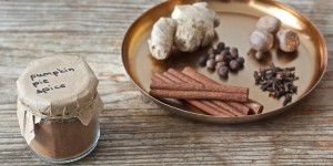 Beitragsbild des Blogbeitrags Pumpkin Pie Spice – Kürbiskuchengewürz