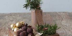 Beitragsbild des Blogbeitrags Baileyskugeln
