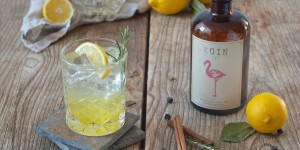 Beitragsbild des Blogbeitrags Gin Fizz mit Zitronensirup
