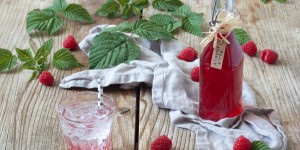 Beitragsbild des Blogbeitrags Himbeersirup