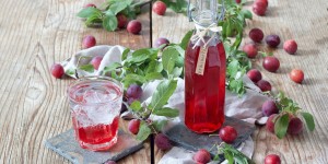 Beitragsbild des Blogbeitrags Kriecherlsirup