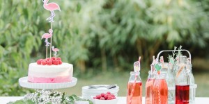 Beitragsbild des Blogbeitrags Himbeer-Eistorte 