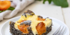 Beitragsbild des Blogbeitrags Mohn-Topfengitter-Kuchen mit Marillen