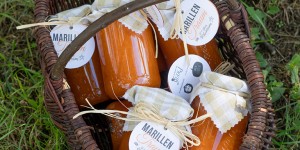 Beitragsbild des Blogbeitrags Marillentraum für einen Kindertraum – Marillenmarmelade für den guten Zweck