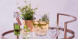 Beitragsbild des Blogbeitrags Maibowle mit Waldmeistersirup