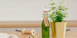 Beitragsbild des Blogbeitrags Waldmeistersirup