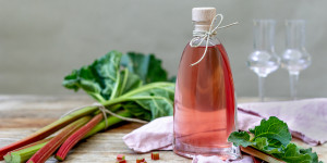 Beitragsbild des Blogbeitrags Rhabarberlikör mit Wodka – Ansatzlikör einfach selber machen