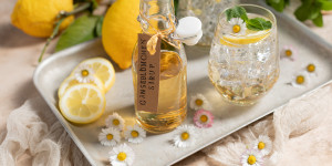 Beitragsbild des Blogbeitrags Gänseblümchen-Sirup 