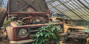 Beitragsbild des Blogbeitrags Lost Place Glashaus 2.0