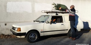 Beitragsbild des Blogbeitrags Ein frohes Fest!