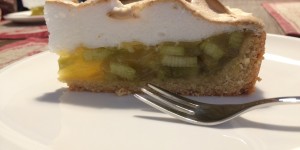 Beitragsbild des Blogbeitrags Rhabarberkuchen mit Baiserhaube