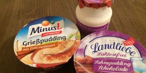 Beitragsbild des Blogbeitrags Laktosefreie Milchdesserts 