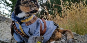 Beitragsbild des Blogbeitrags Weltkatzentag: Eine Top Video Game-Katzen Liste muss her!