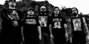 Beitragsbild des Blogbeitrags Gatecreeper – Sonoran Depravation