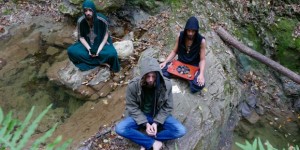 Beitragsbild des Blogbeitrags Green Oracle – Green Oracle