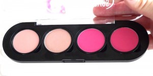 Beitragsbild des Blogbeitrags Kosmetik & Make up - My must haves Lip Powder Palette 