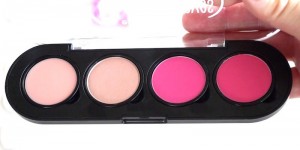 Beitragsbild des Blogbeitrags Kosmetik & Make up - My must haves Lip Powder Palette