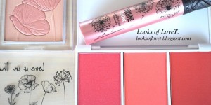 Beitragsbild des Blogbeitrags Beauty & Kosmetik - neue Trend Edition Swatches und Banana Concealer & Hand Cream 