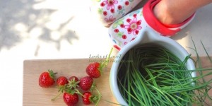 Beitragsbild des Blogbeitrags Der Westbalkon im Frühling - Begrünung mit Topfpflanzen und reife Erdbeerlis zum Vernaschen süß 