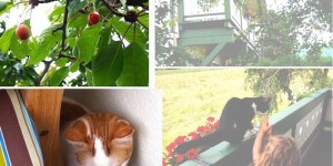Beitragsbild des Blogbeitrags Glücklich am See in Kärnten - Lifestyle & Mode Rückblick Juni