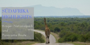 Beitragsbild des Blogbeitrags Südafrika Highlights: Krüger Nationalpark und Panorama Route