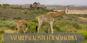 Beitragsbild des Blogbeitrags Safari Packliste Südafrika: Ausrüstung und Infos zu Game Drives und Bush Walks 