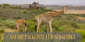 Beitragsbild des Blogbeitrags Safari Packliste Südafrika: Ausrüstung und Infos zu Game Drives und Bush Walks