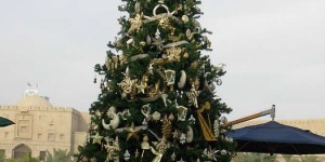 Beitragsbild des Blogbeitrags Weihnachten unter Palmen - Dem Wahnsinn entfliehen