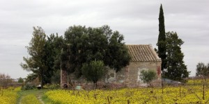 Beitragsbild des Blogbeitrags Andalusien im Winter - Jerez de la Frontera