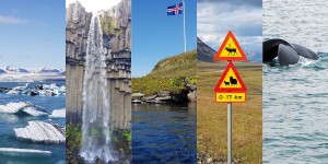 Beitragsbild des Blogbeitrags Island mit Kind: Familien-Roadtrip entlang Islands Ringstraße