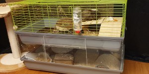 Beitragsbild des Blogbeitrags DIY: Erweiterung für Meerschweinchenstall selber bauen