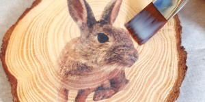 Beitragsbild des Blogbeitrags Osterdeko basteln mit Kindern: Osterhase auf Holz mittels Fototransfer