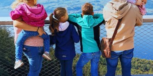 Beitragsbild des Blogbeitrags Baumwipfelpfad Salzkammergut: Wandern in luftiger Höhe