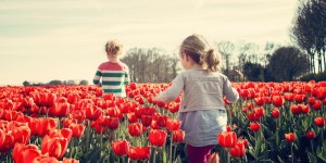 Beitragsbild des Blogbeitrags Digitale Schatzkiste als Ferienprogramm