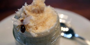 Beitragsbild des Blogbeitrags Mmmmh statt Mikroplastik: Mama, darf ich mir dein Peeling auf’s Brot schmieren?