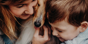 Beitragsbild des Blogbeitrags Der optimale Familienhund: Tipps zur Auswahl 