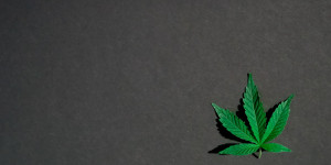Beitragsbild des Blogbeitrags Suchtprävention in der Familie: Über Cannabis reden