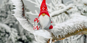 Beitragsbild des Blogbeitrags Nikolaus: Sinnvolle Kleinigkeiten für Kinder! Frühstücksset für Kinder gewinnen!