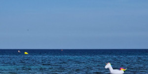 Beitragsbild des Blogbeitrags Mallorca mit Kindern: Teenie-taugliche Ausflüge und Aktivitäten