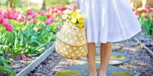 Beitragsbild des Blogbeitrags Das Warten auf den Frühling verkürzen
