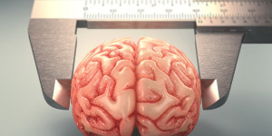 Beitragsbild des Blogbeitrags Intelligenz: Der IQ bleibt nicht ein Leben lang gleich
