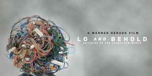 Beitragsbild des Blogbeitrags Haunted by Digital Transformation: Lo and Behold