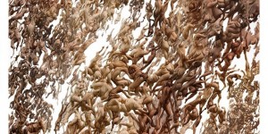 Beitragsbild des Blogbeitrags Über die Begrenztheit des Menschen und die Midlife Crisis - eine Zugfahrt von Linz nach Wien nach dem Besuch der Ars Electronica