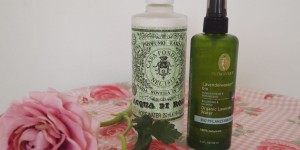 Beitragsbild des Blogbeitrags Testbericht: Fresh-up! Lavendel- und Rosenwasser