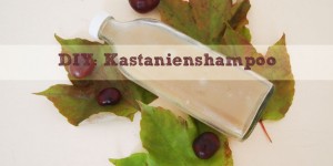 Beitragsbild des Blogbeitrags DIY: No-Poo Kastanienshampoo 