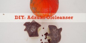 Beitragsbild des Blogbeitrags DIY: Adzuki-Ölcleanser 