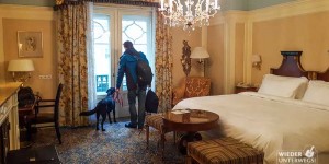 Beitragsbild des Blogbeitrags Das Hotel Bristol Wien: Historisch & Hundefreundlich 