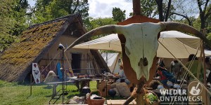 Beitragsbild des Blogbeitrags TOP Ausflug MAMUZ Asparn: Urgeschichte und Keltenparty